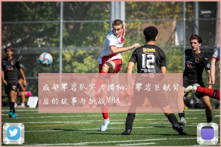 成都攀岩队实力揭秘：攀岩巨献背后的故事与挑战MBA