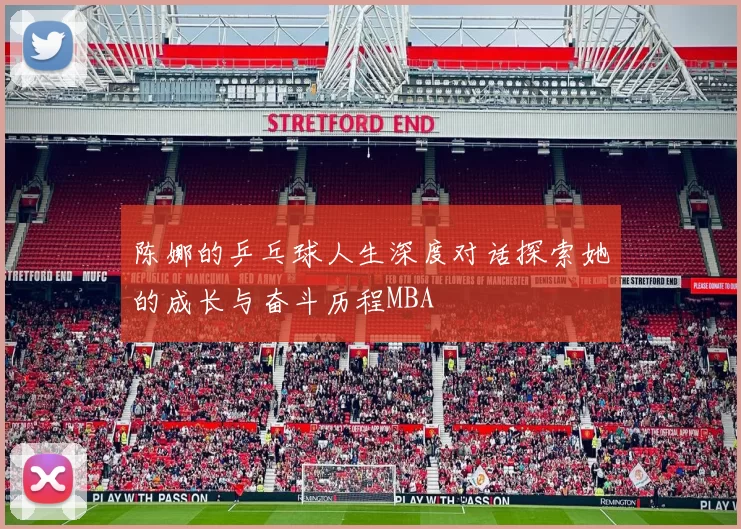 陈娜的乒乓球人生深度对话探索她的成长与奋斗历程MBA