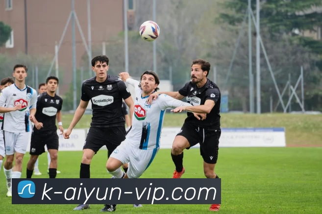 开云app下载平台生态图