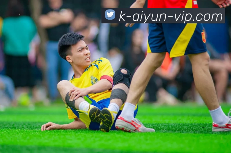 多媒体互动体验