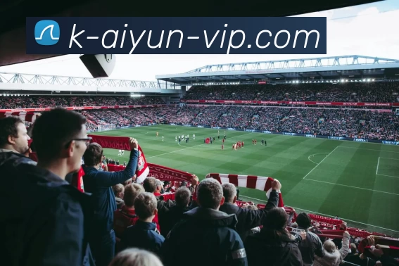 开云app下载APP 封面图